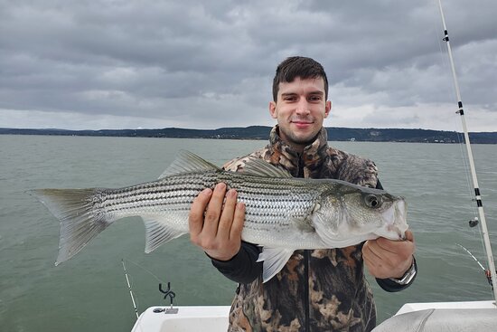 a man caught a big striped fish