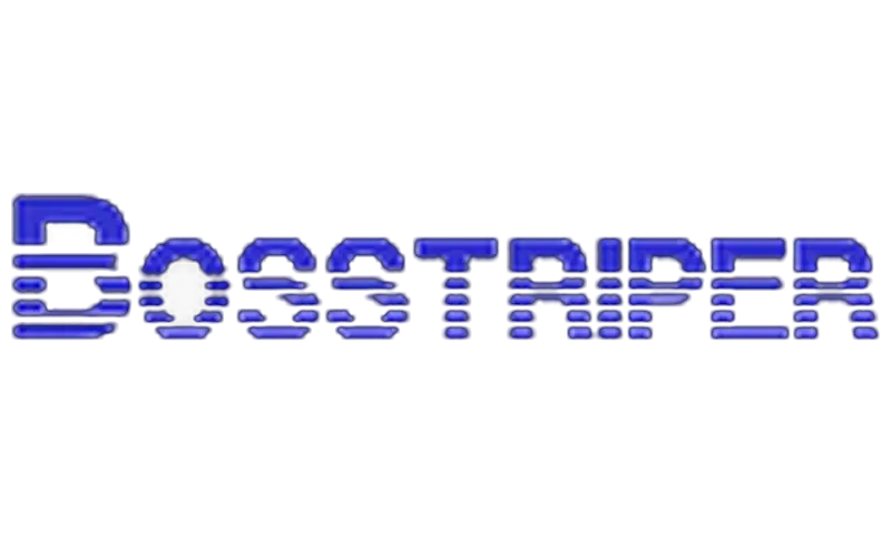 the logo of bosstriper services