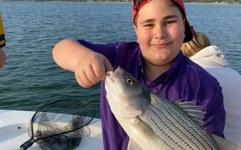 A boy holding a striped bass in the bay