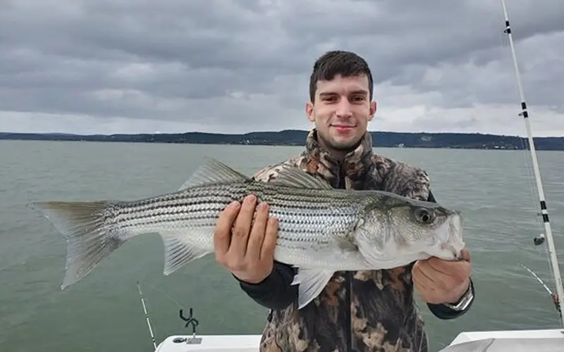 A person holding a striped bass fish