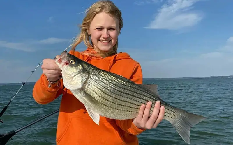 A girl in an orange hoodie holding a stripe bass fish