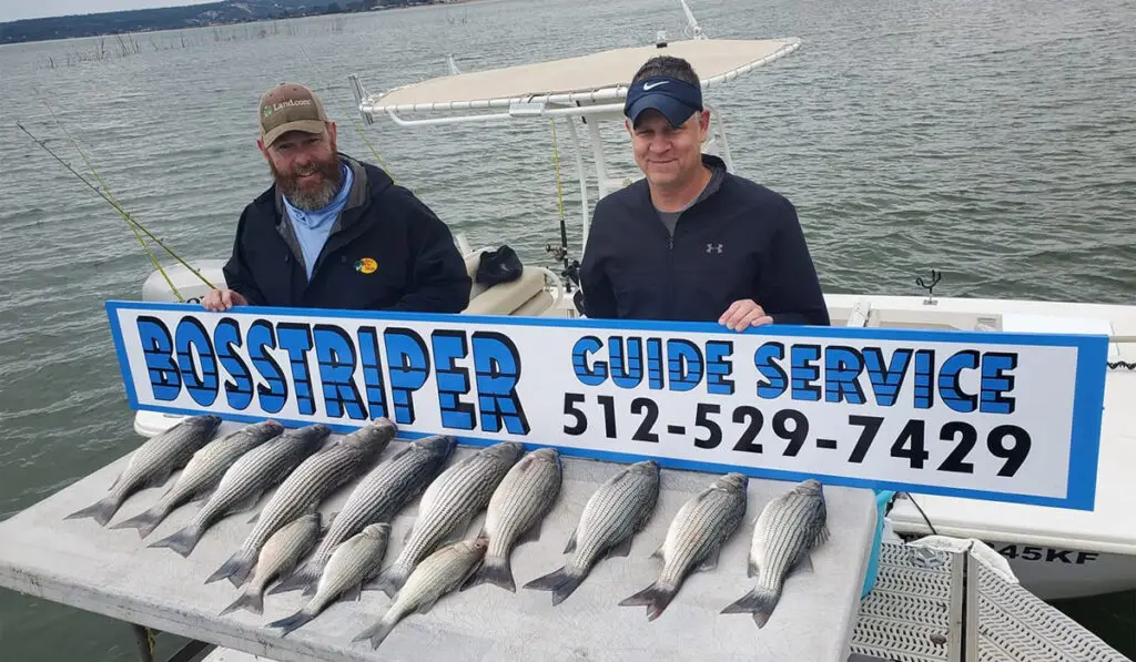 contact Bosstriper for Best Fishing Guide services